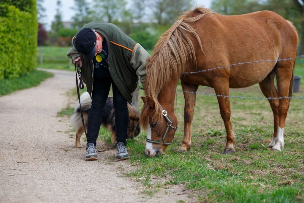 Frau führt einen Hund und ein Pferd über einen Feldweg